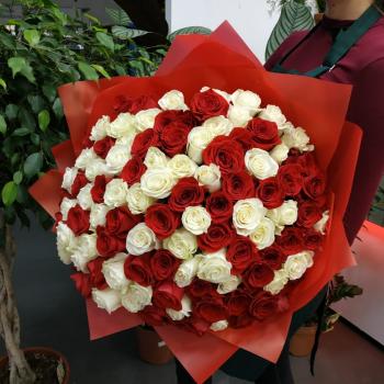 Букет Букет из 101 розы (красные и белые розы)