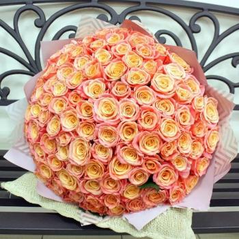 Букет Оранжевые розы Эквадор 101 шт (50 см)